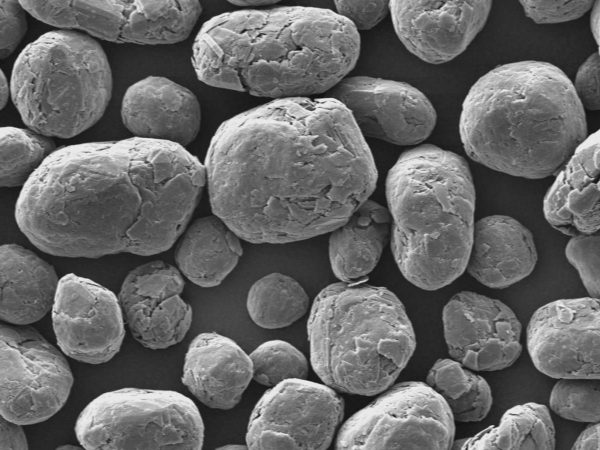 The details of spherical graphite after enlargement