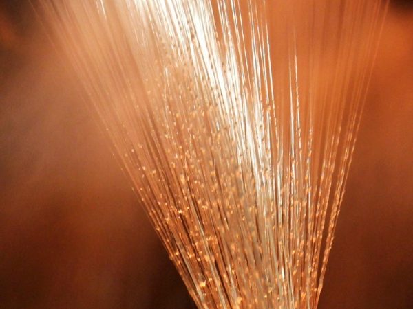 A bundle of glass fiber that reflect warm lights