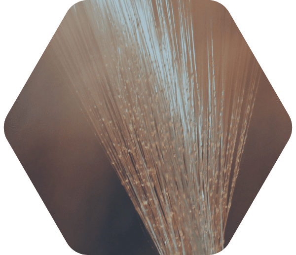 A bundle of glass fiber that reflect warm lights.