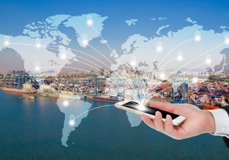 The worker is tracking the order information on the phone.