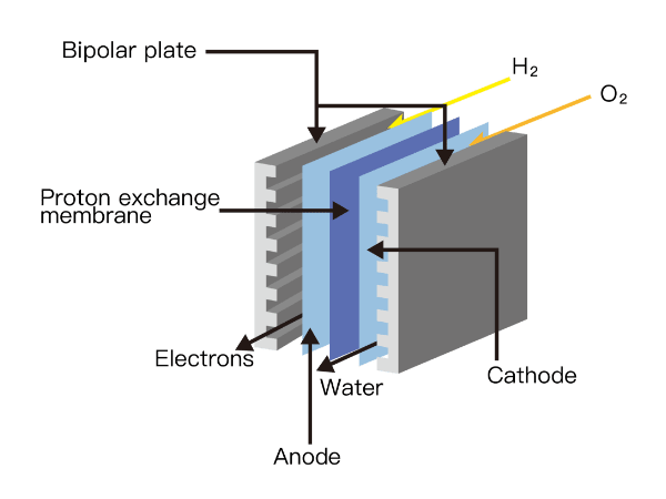 The working principle of hydrogen fuel cell